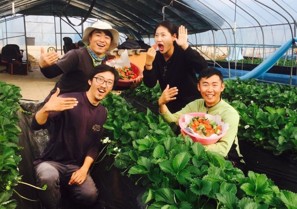 권두현 대표가 후배들과 같이 농사를 지을 당시 딸기 첫 수확을 기념해 사진을 찍고 있다.