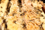 진주시는 관내 양봉농가를 대상으로 꿀벌 질병 구제약품과 면역증강제 등 4종을 무상 공급한다.  /진주시